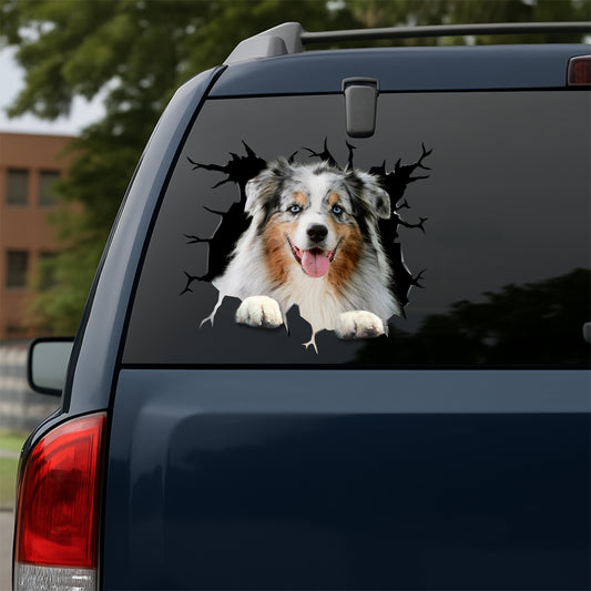 Australian-Shepherd Car Decal