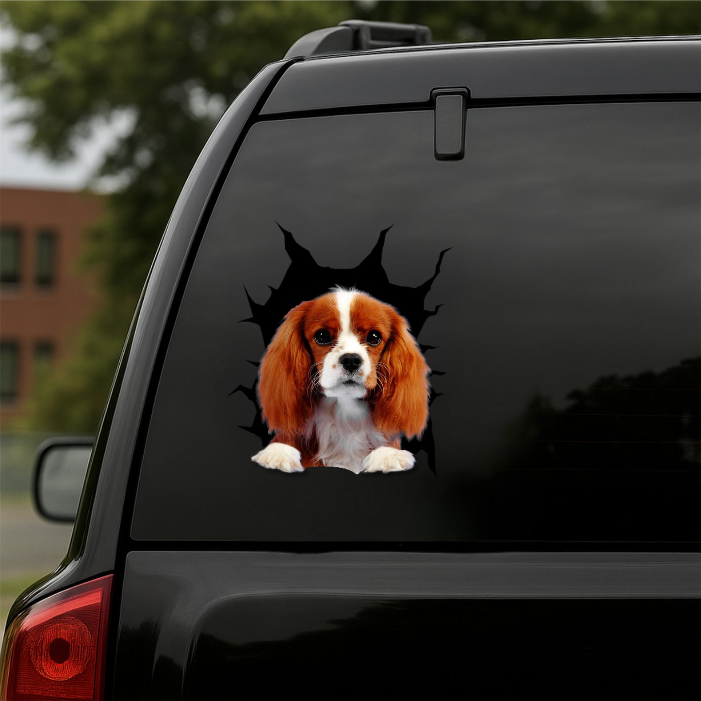 Cavalier-King-Charles-Spaniel Car Decal