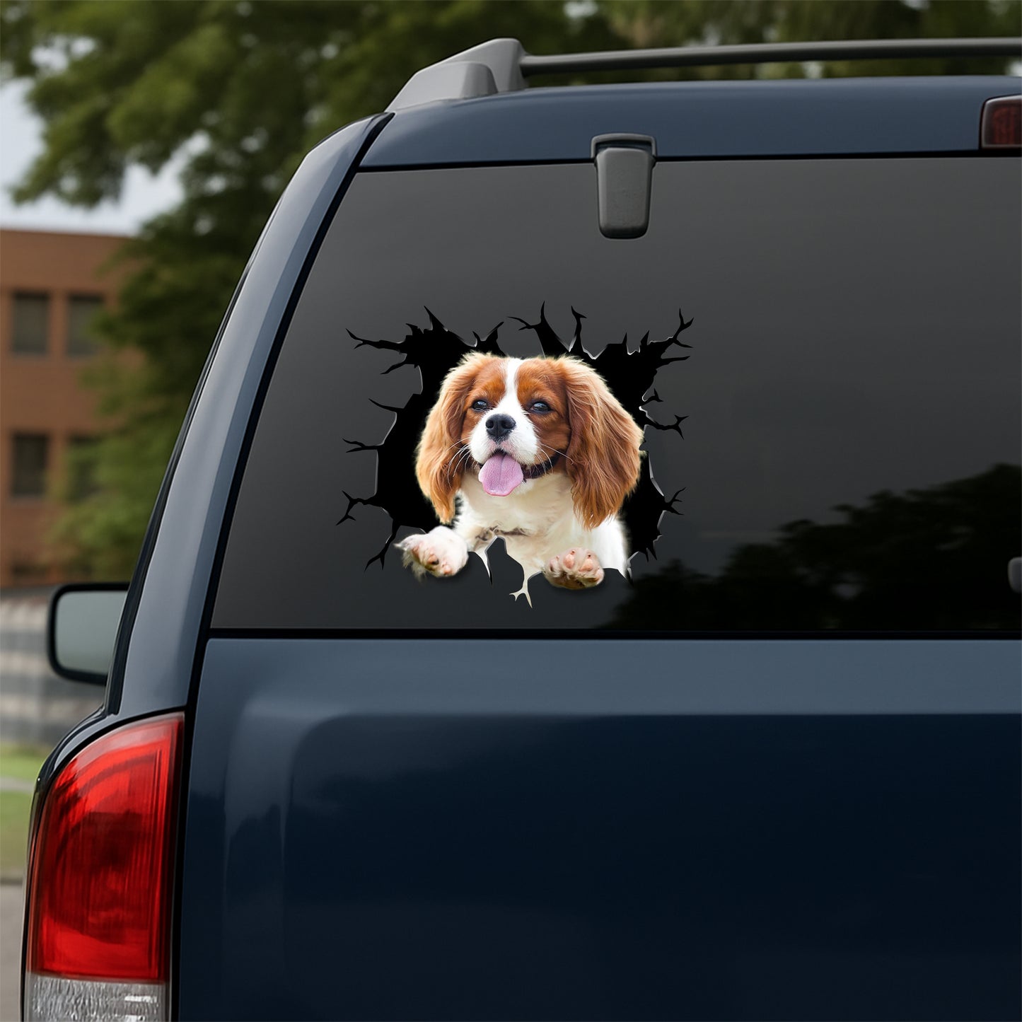 Cavalier-King-Charles-Spaniel Car Decal