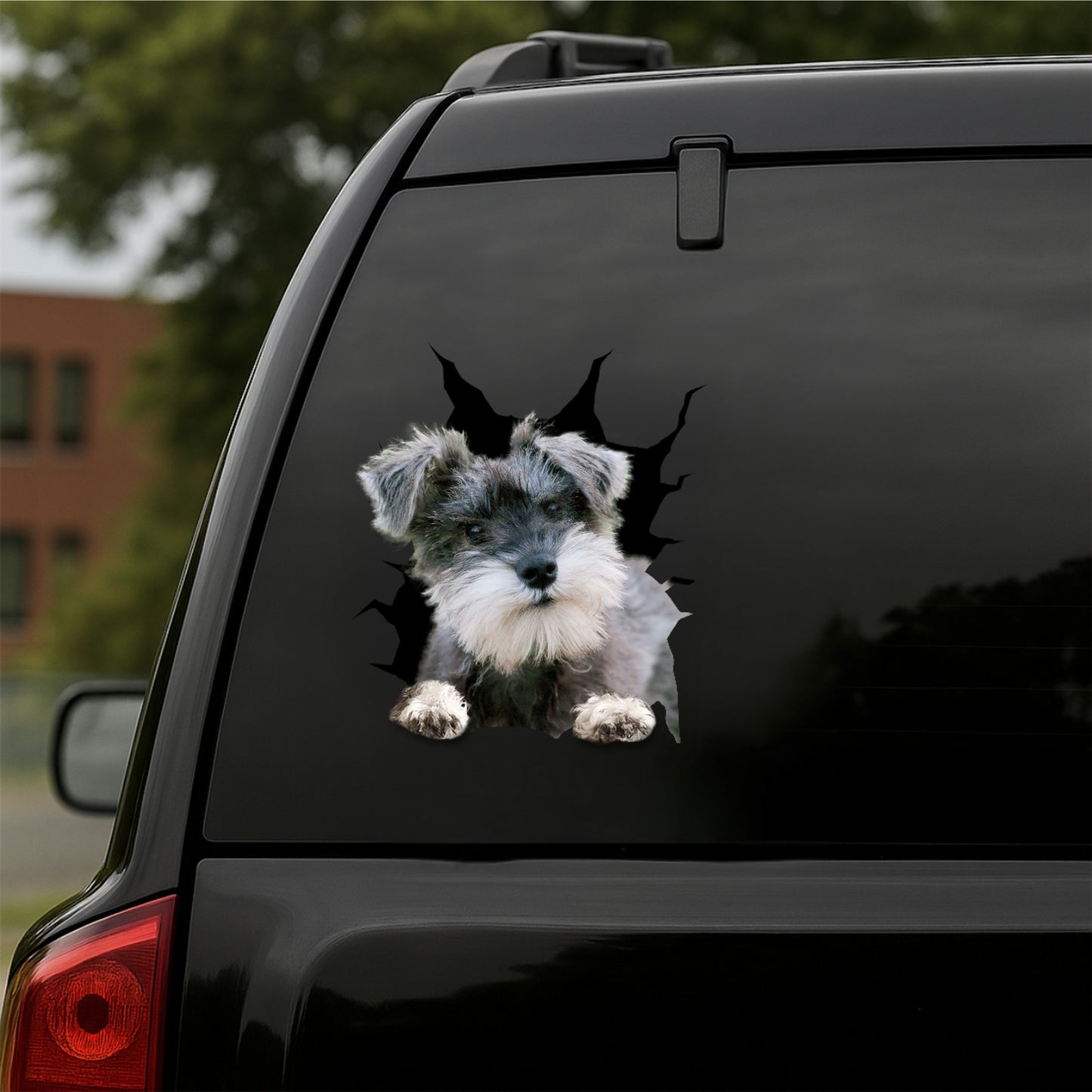 Miniature-Schnauzer Car Decal