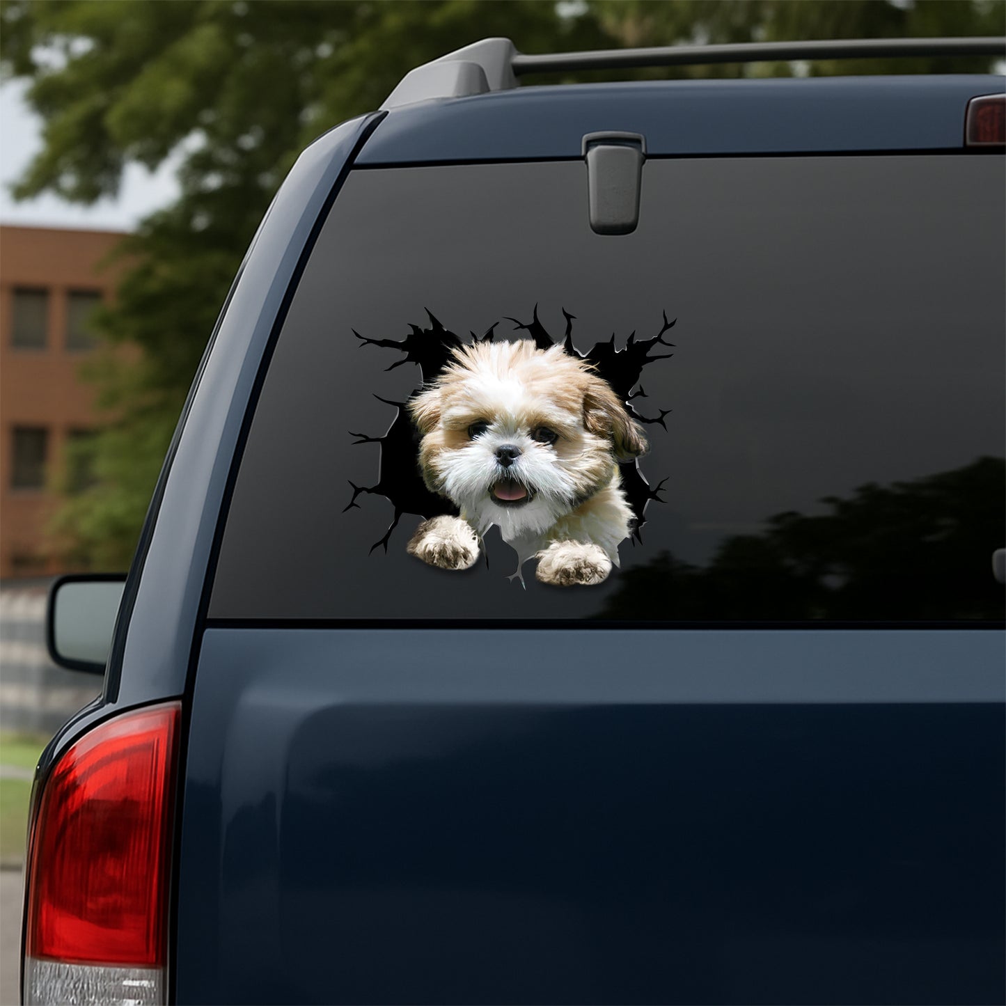 Shih-Tzu Car Decal