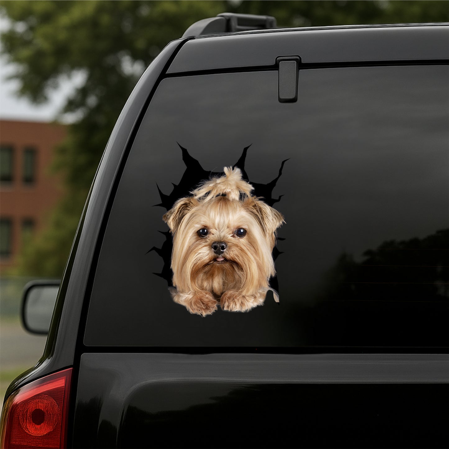 Yorkshire-Terrier Car Decal