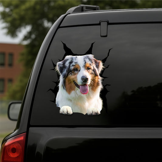 Australian-Shepherd Car Decal