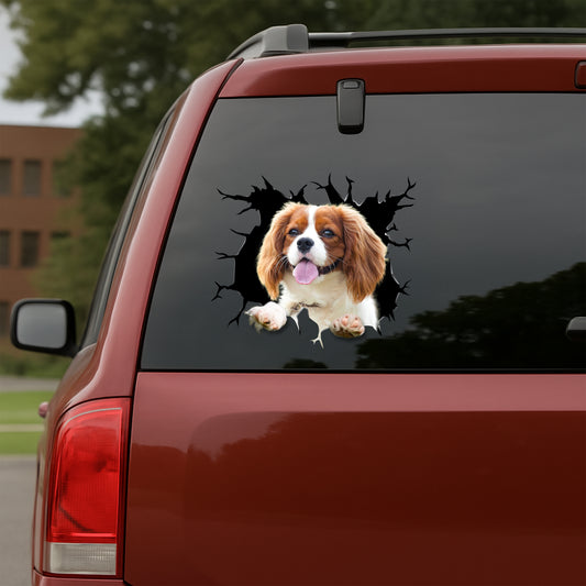Cavalier-King-Charles-Spaniel Car Decal