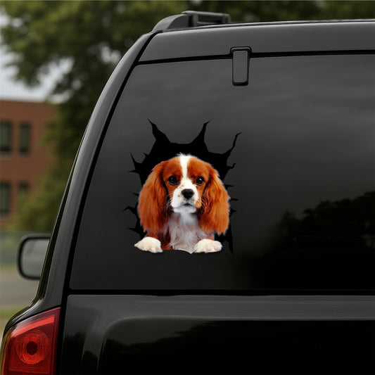 Cavalier-King-Charles-Spaniel Car Decal