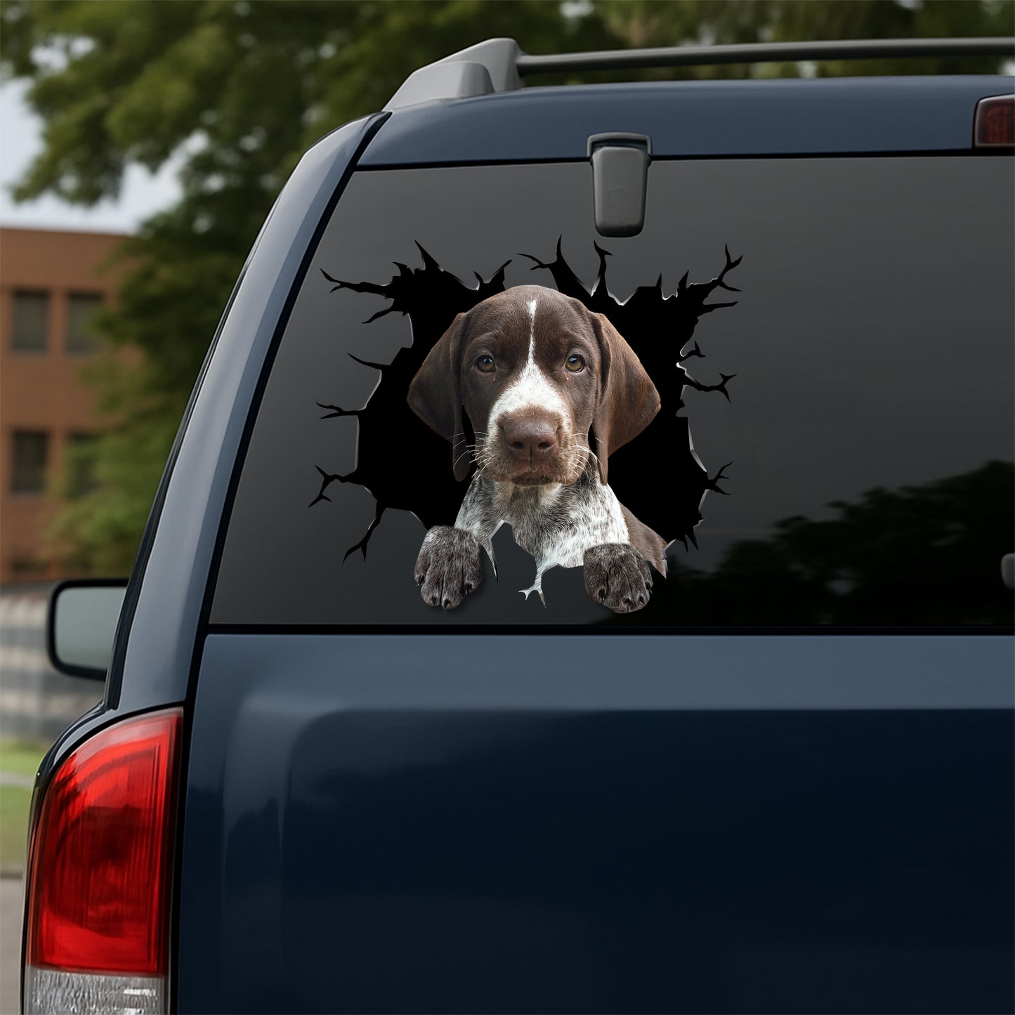 German-Shorthaired-Pointer Car Decal