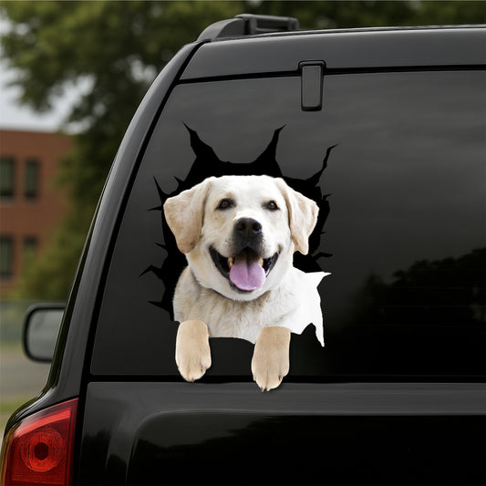 Labrador-Retriever Car Decal