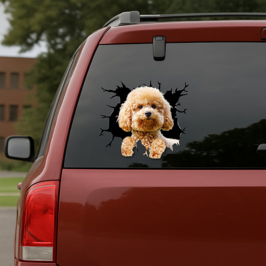 Poodle Car Decal
