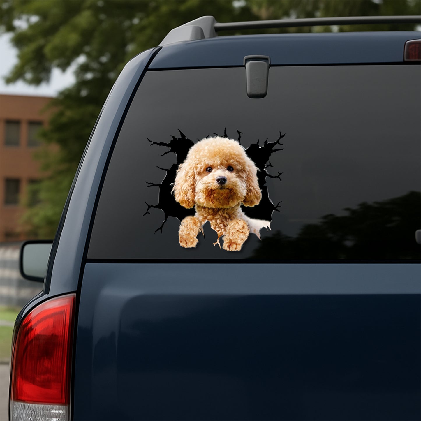 Poodle Car Decal