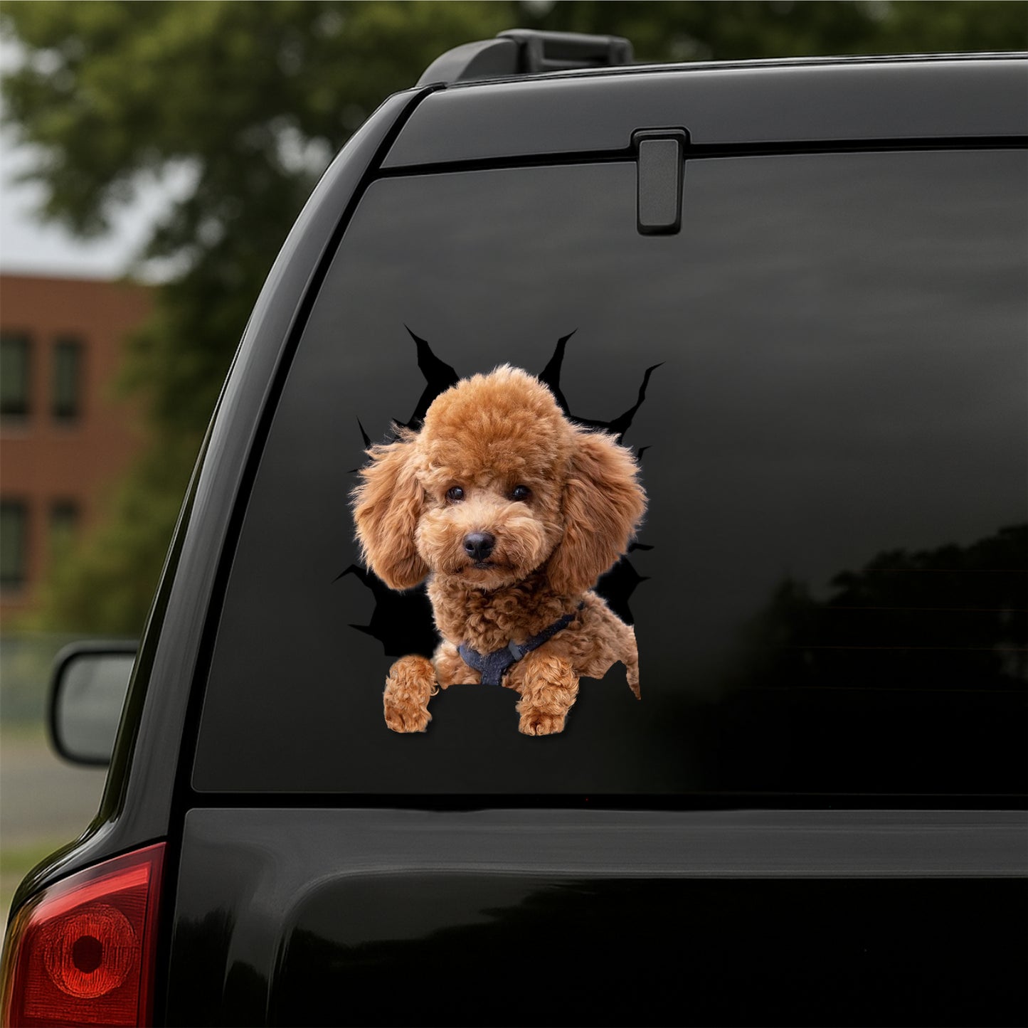 Poodle Car Decal