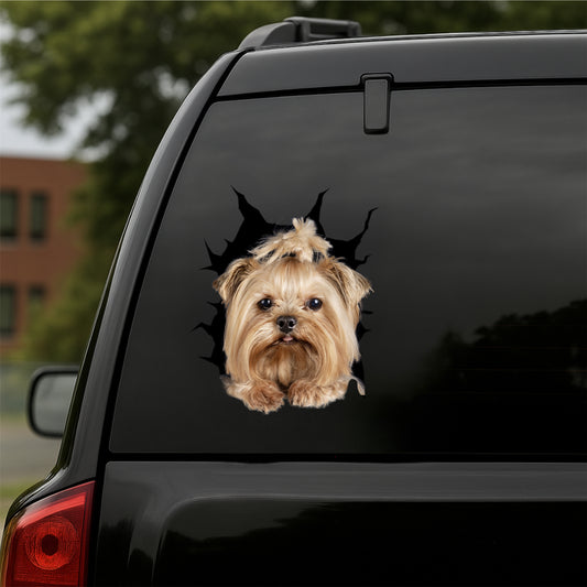 Yorkshire-Terrier Car Decal