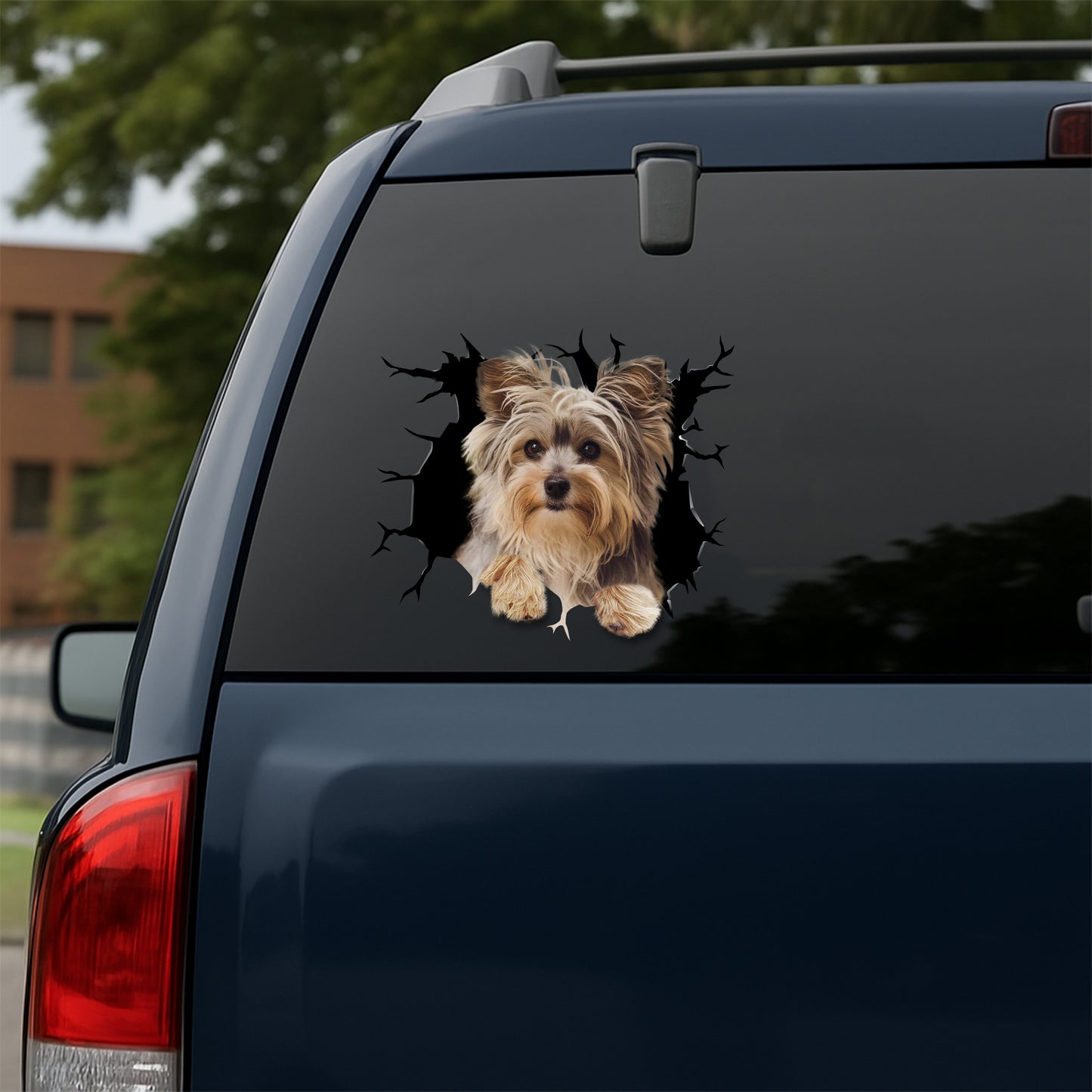 Yorkshire-Terrier Car Decal